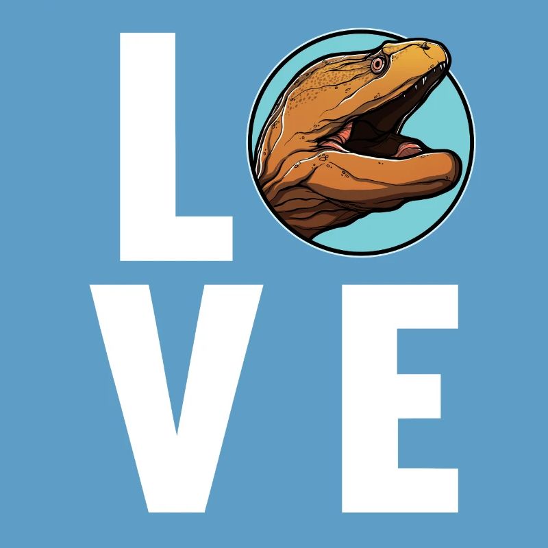 Moray eels Moray eel