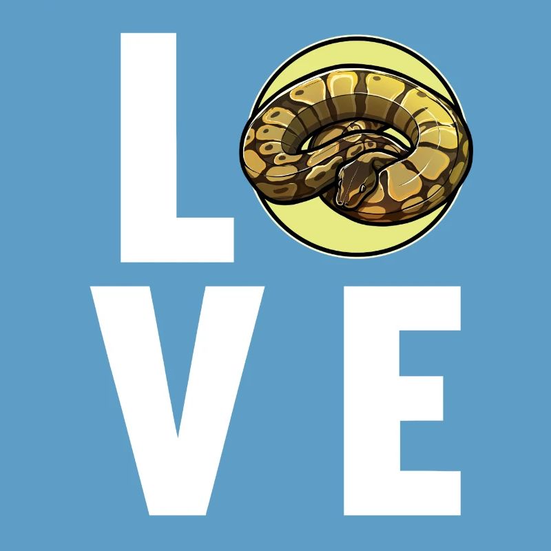 Ball Python Königspythons Königspython