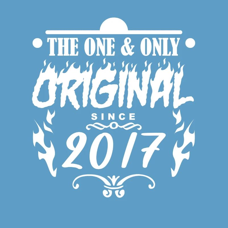 2017 - Année de construction 2017 - Année de construction 2017