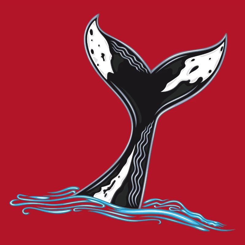 Rorqual commun