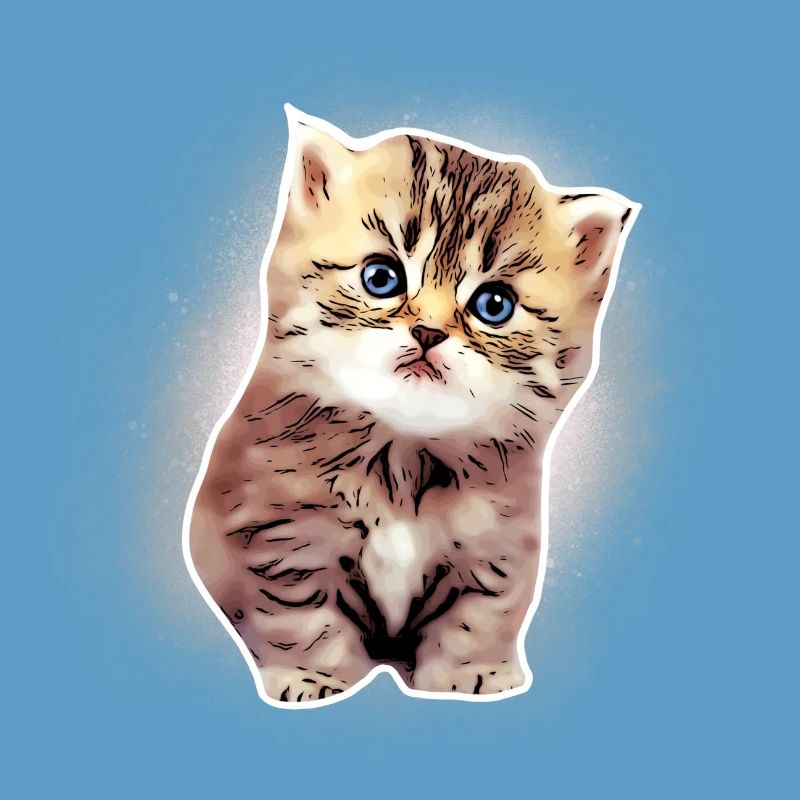 Bébé chat