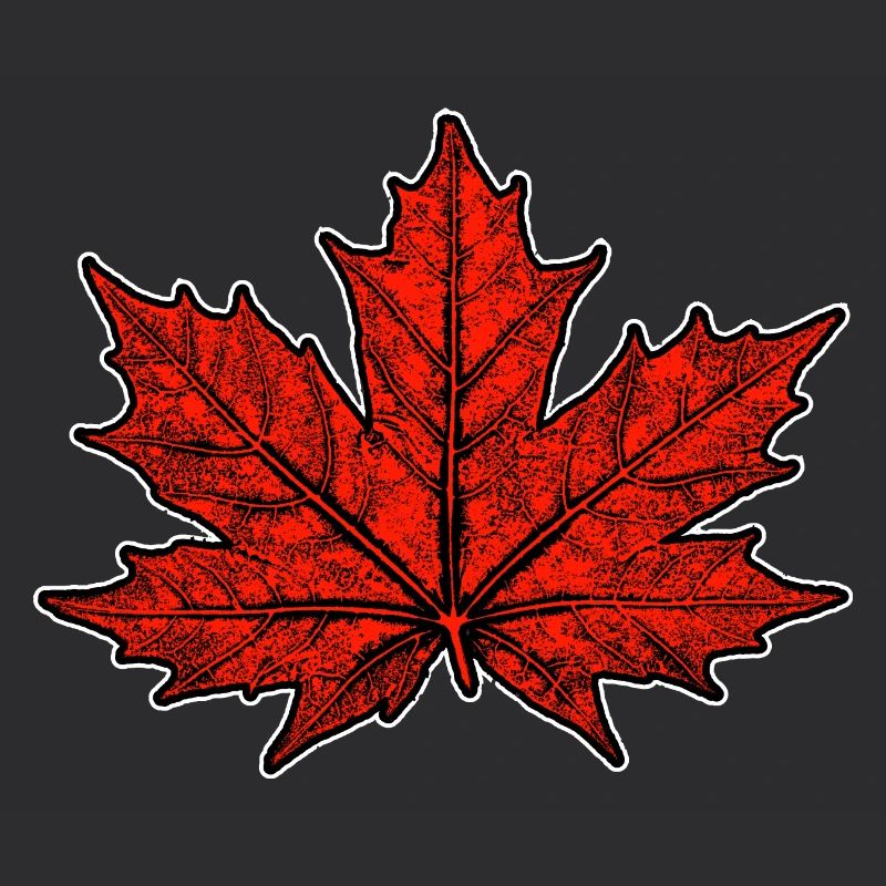 Maple / Leaf