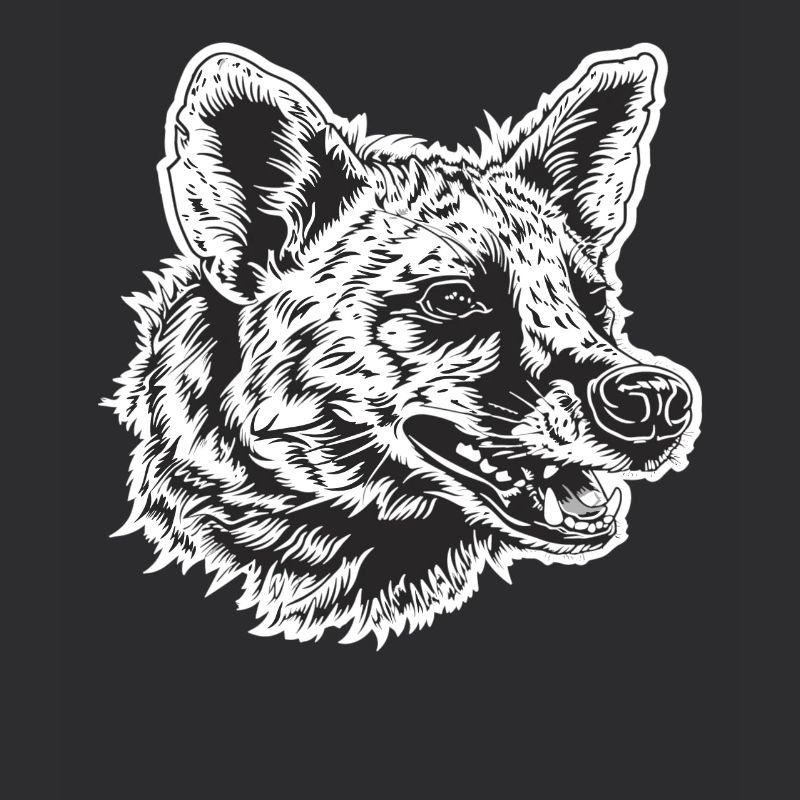 Aardwolves Aardwolf