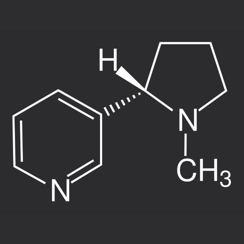 Nicotine structural formula