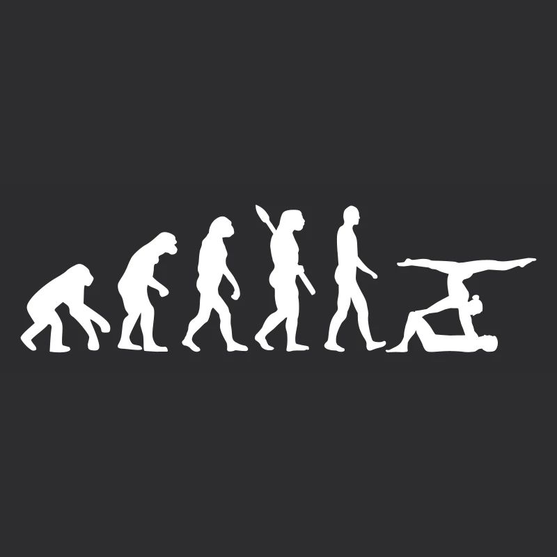 Évolution Acrobatie