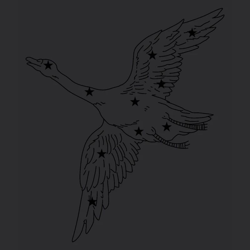Constellation
