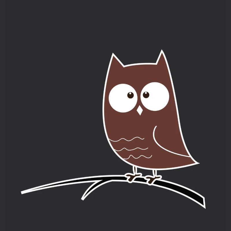 Squinting Owl Gift Idea