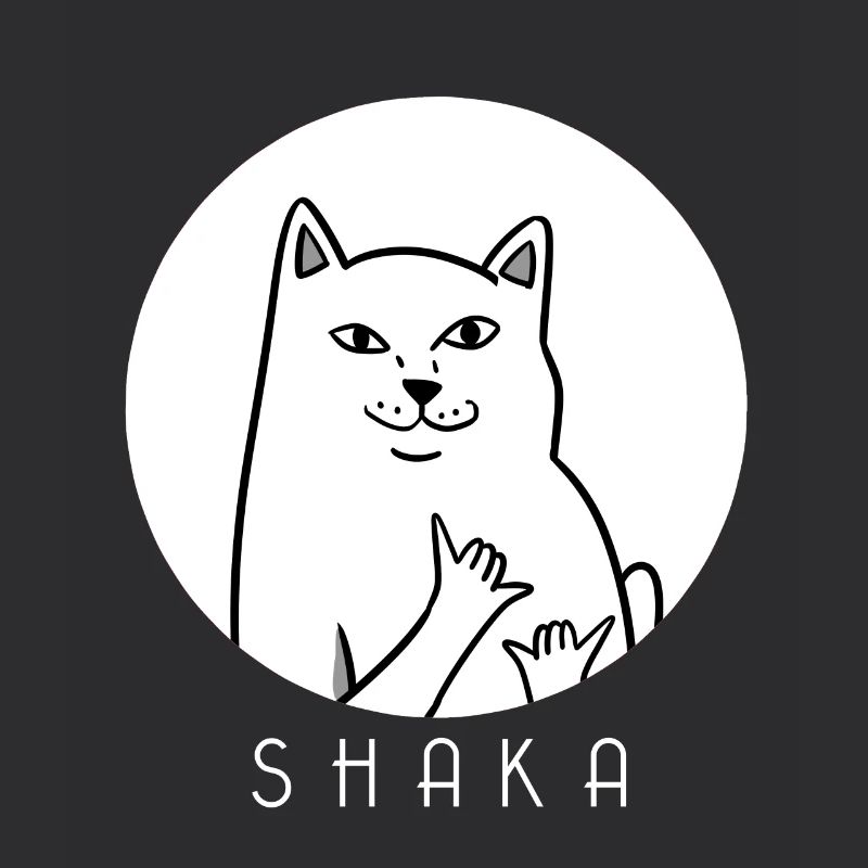 MEME CAT - Shaka - Katze - Kätzchen