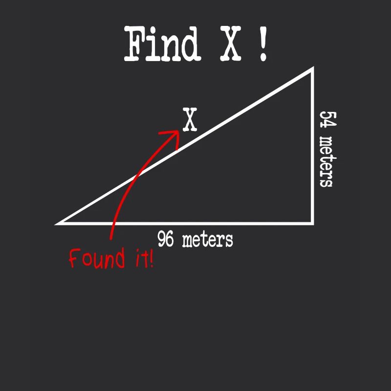 Math Math Meme Find X Found It Pythagore