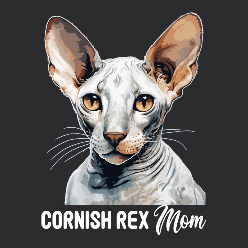 Cornish Rex Kätzchen Cornish Rex Katze