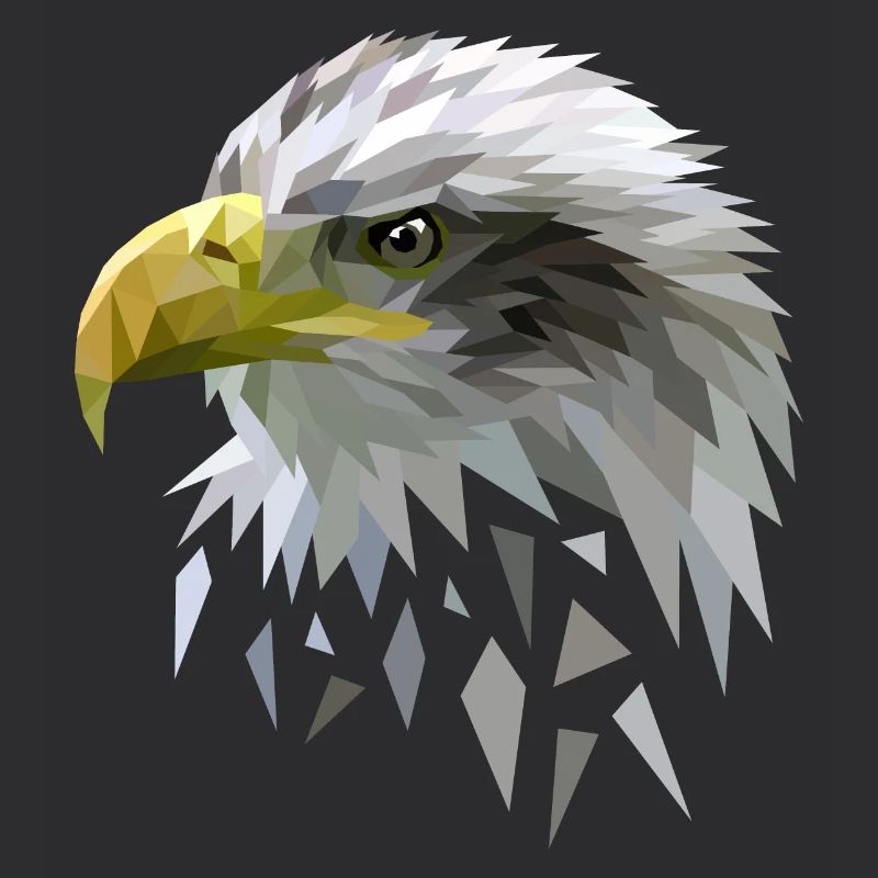 White-tailed eagle low poly polygons geometric