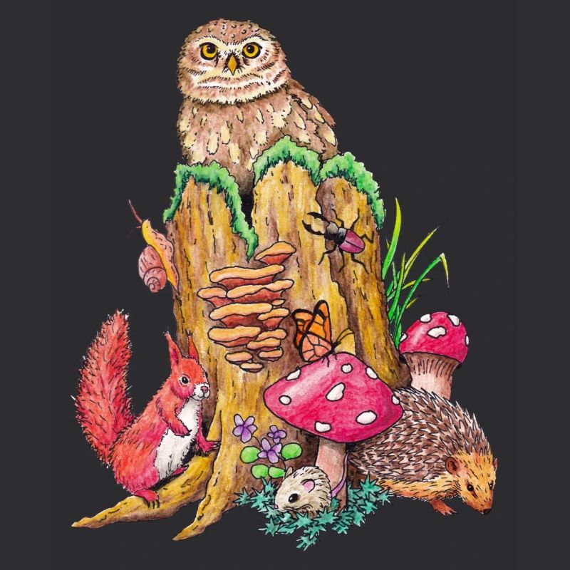 Animaux de la forêt