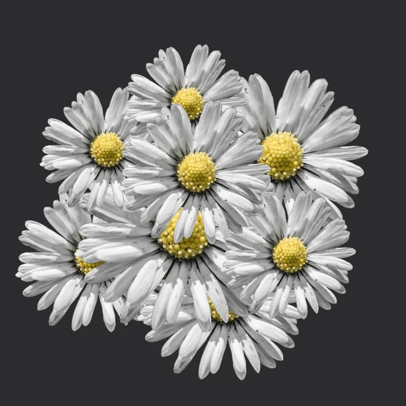 Blumenstrauß