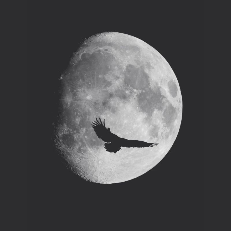 Full Moon Moon Moon Addicted Blood Moon Eagle Astro