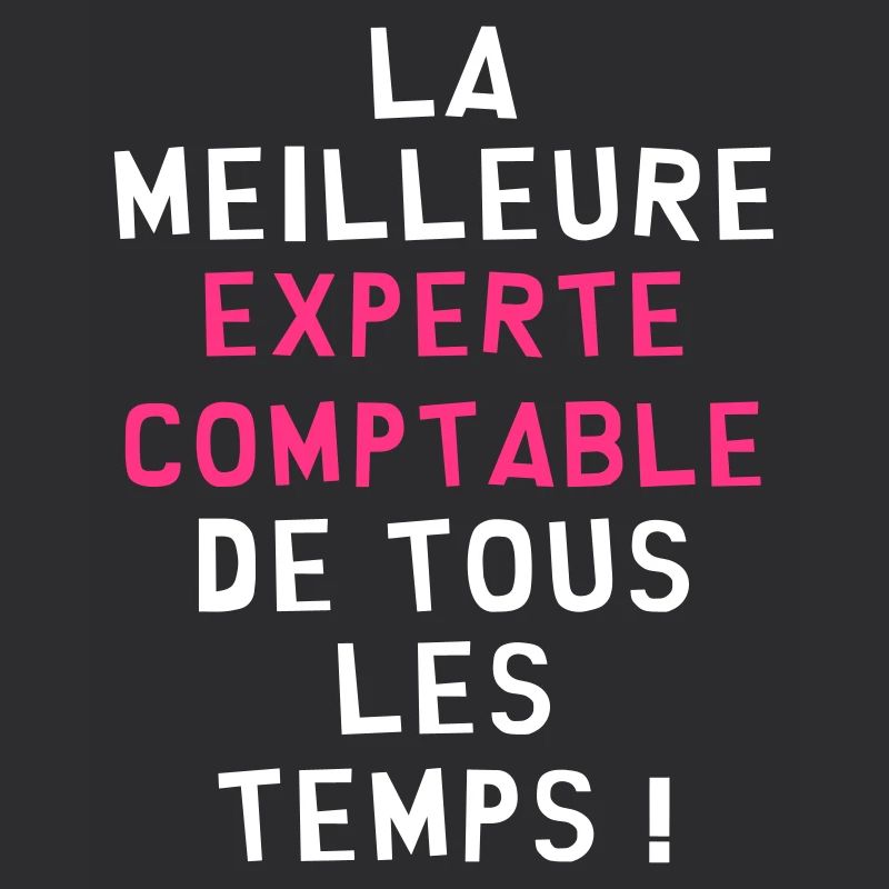 Expert Comptable / Comptabilité / Comptable /