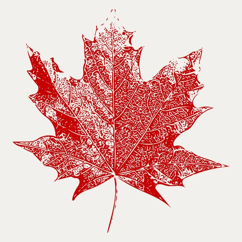 Maple leaf
