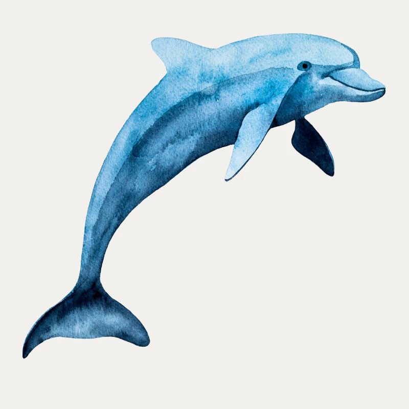 Delfin