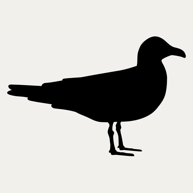 Möwe