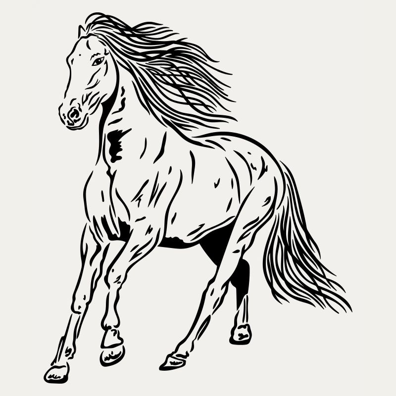 Pferd Hengst