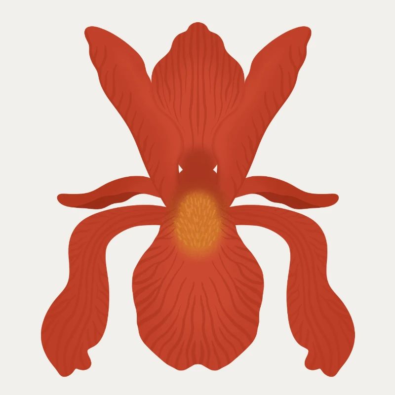 Crimson Iris Flame