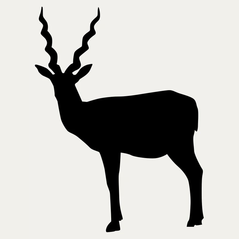Antelope