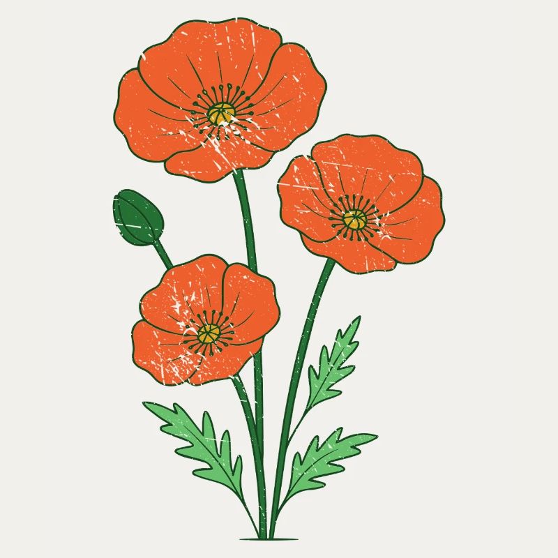 Orange Mohnblumen botanische Illustration
