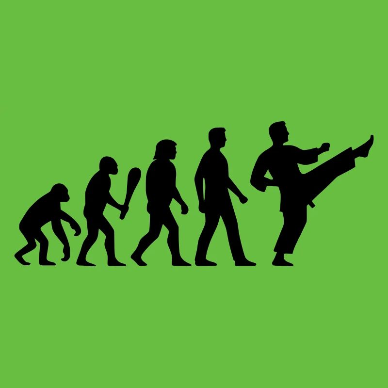 Karate Evolution