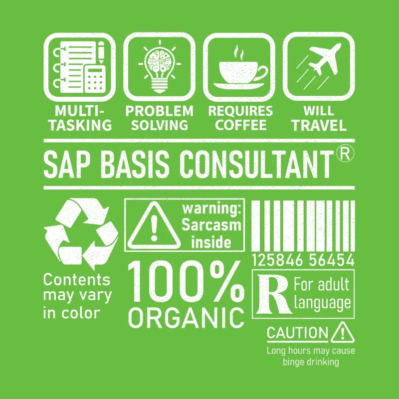 Sap Basis Consultant multi tasking problem solving