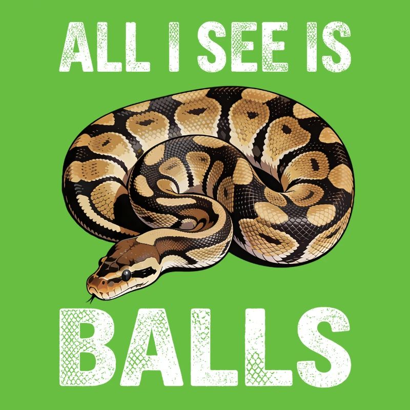 Python roi Serpents Amateurs de terrarium Python