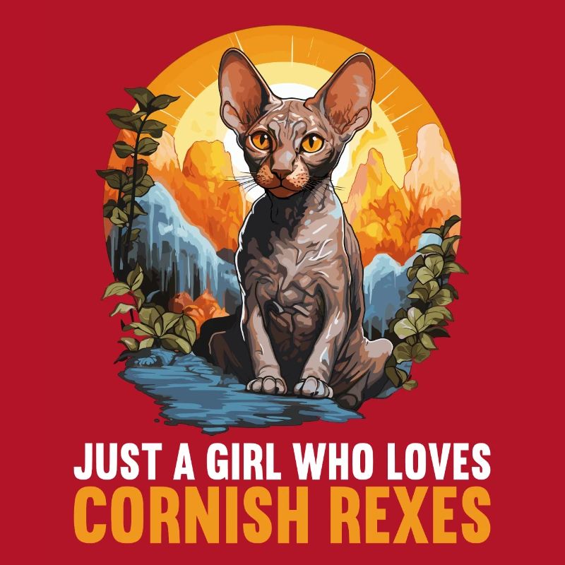 Cornish Rex Kätzchen Cornish Rex Katze