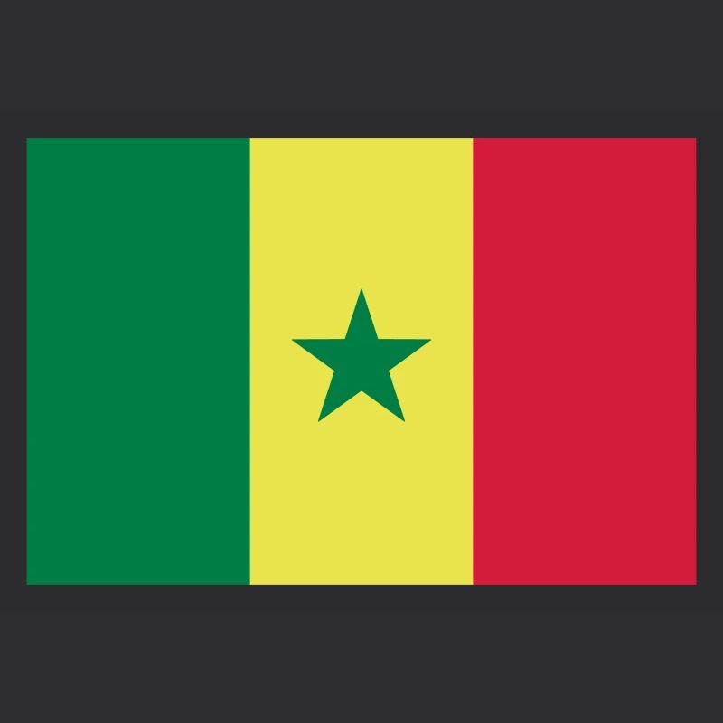 Drapeau Sénégal / Flagge von Senegal