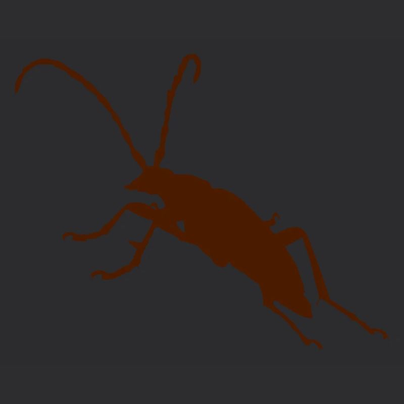 Käfer Bug