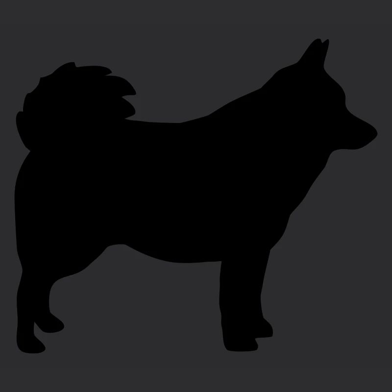 Schipperke