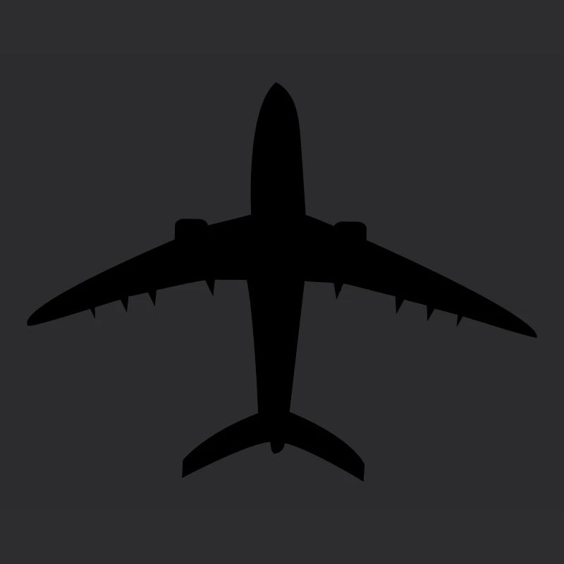 Flugzeug