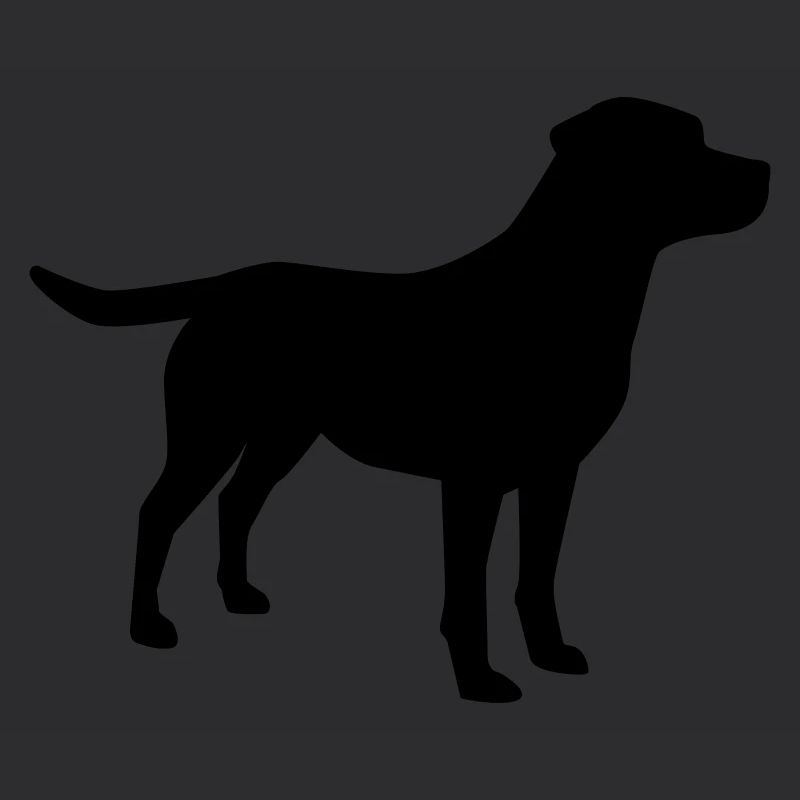 Labrador