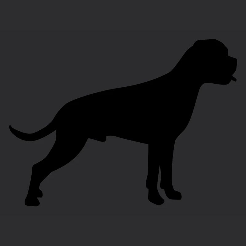 Boxer