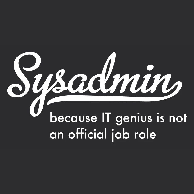 Administrateur système