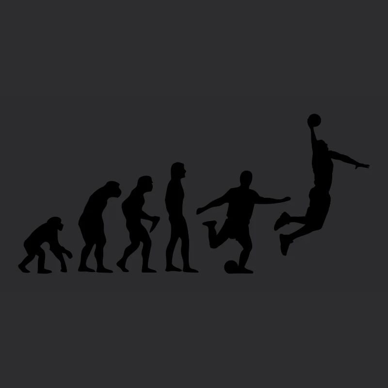 Basket-ball Evolution Basketball Basket