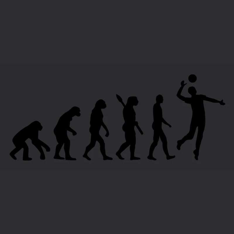 Evolution Volleyball