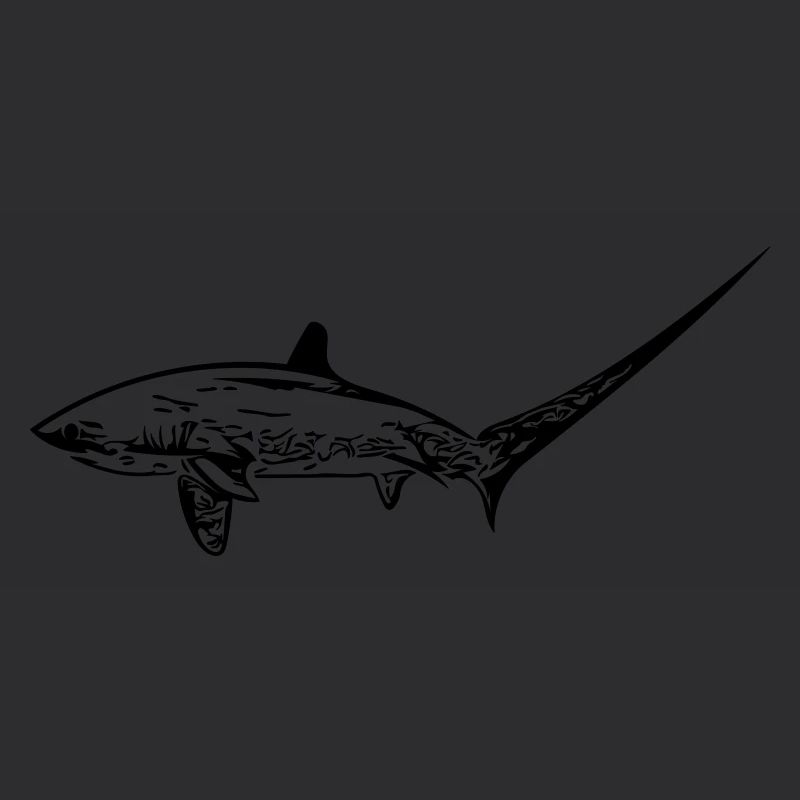 Elegant thresher shark