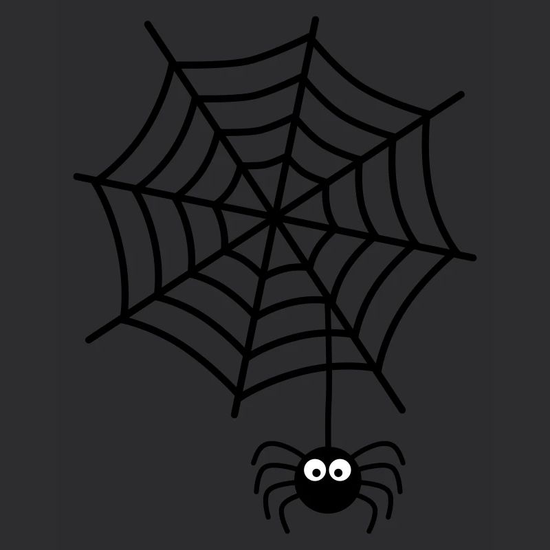 Spiderweb Spider