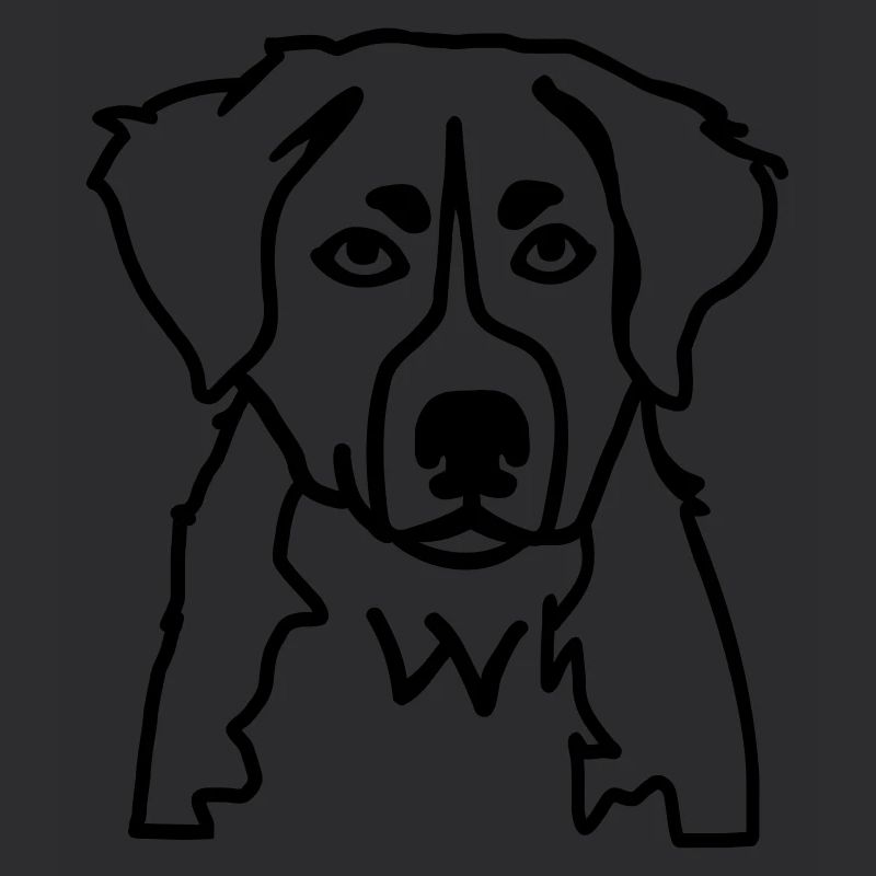 Berner Sennenhund