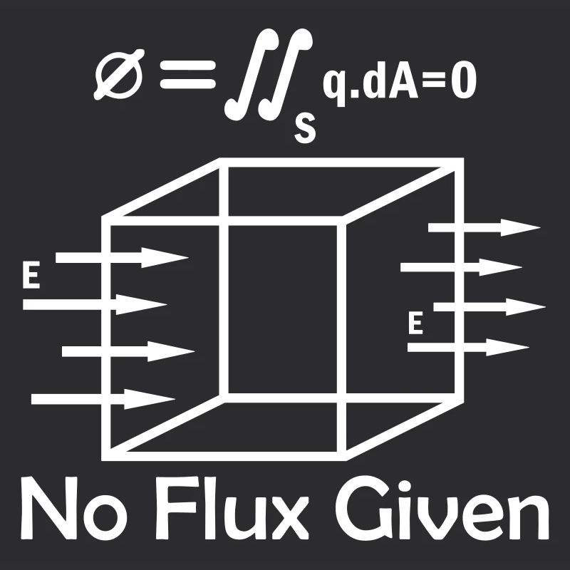 Mathematics Math Physicist