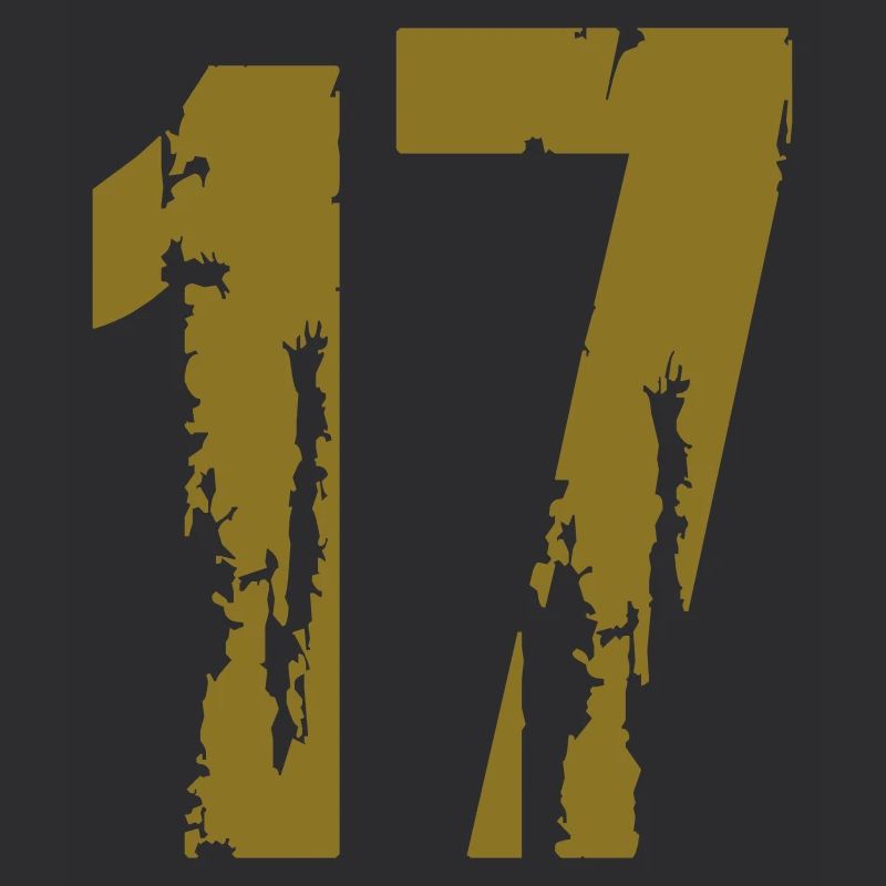 17 - Nummer
