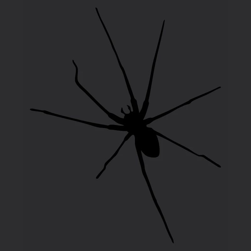 araignée spider halloween insect arac vintage