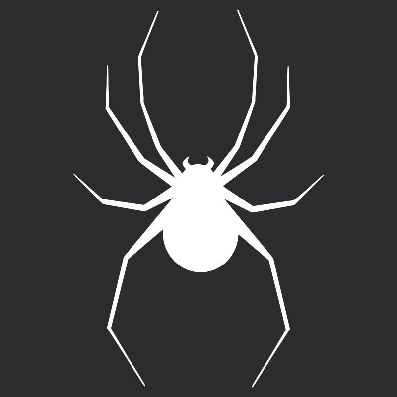 Araignée