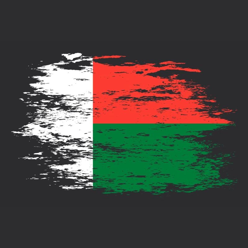 Drapeau de Madagascar utilisé