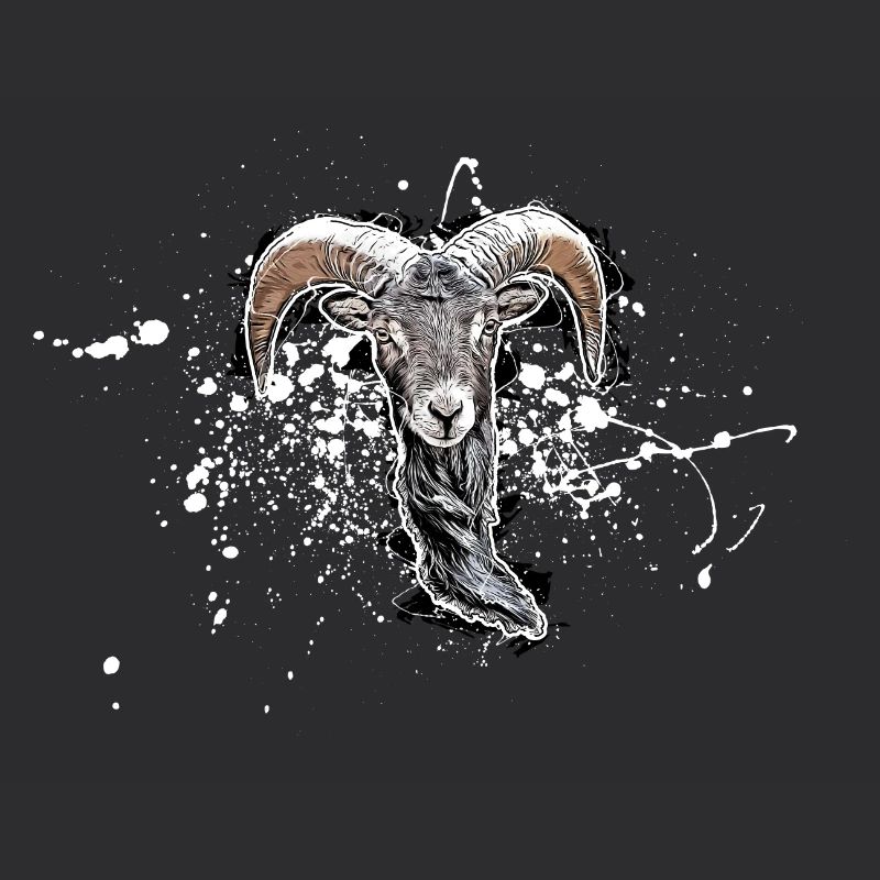 Bouc