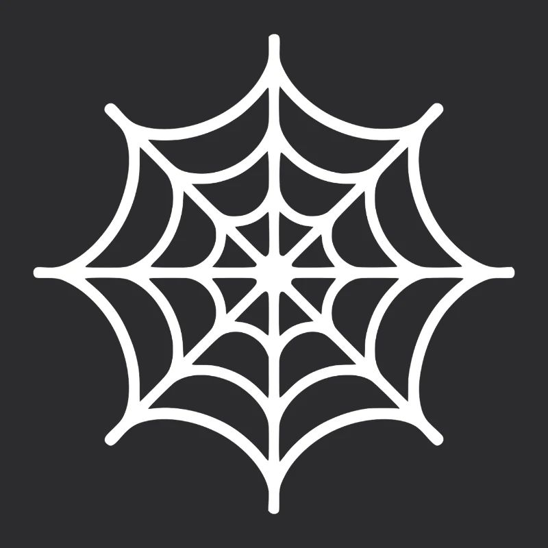 Spider Web Spider