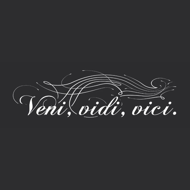 Veni vidi vici